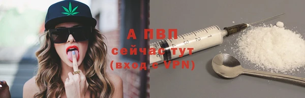 apvp Алзамай