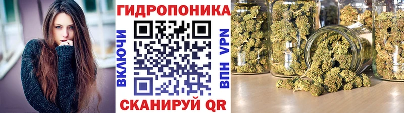 закладки  площадка наркотические препараты  omg зеркало  Бошки Шишки ГИДРОПОН  Наволоки 